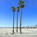 DSCN0278