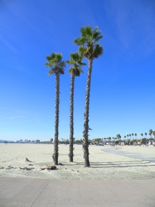 DSCN0278