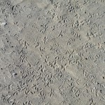 DSCN0290