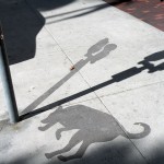 DSCN0333