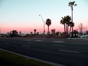 DSCN0532