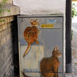 DSCN1740