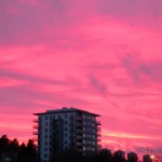 DSCN6520
